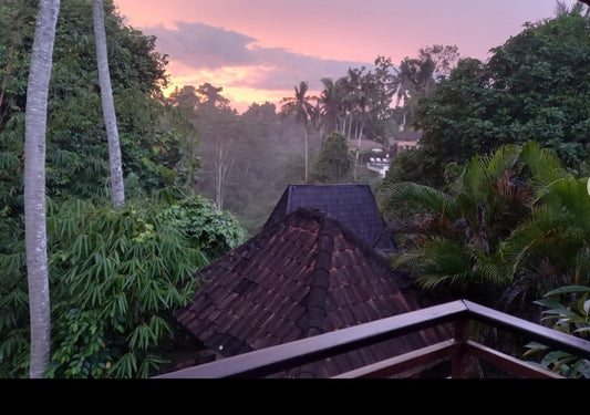 Business from Bali