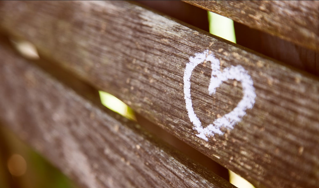 "Ignite the Journey: Unveiling Purpose, Love, and Family Harmony"