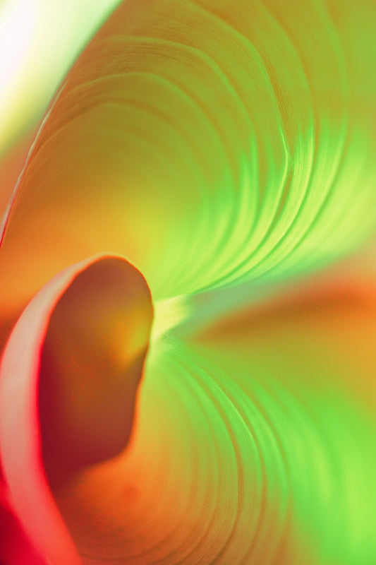 Set yourself a new vibrational tone