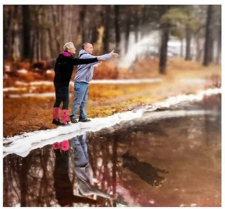AI Advanced