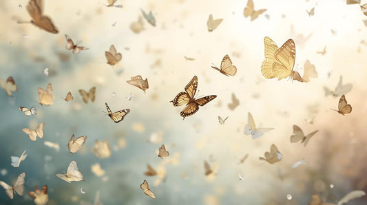 Freedom & New Beginnings Coaching Program